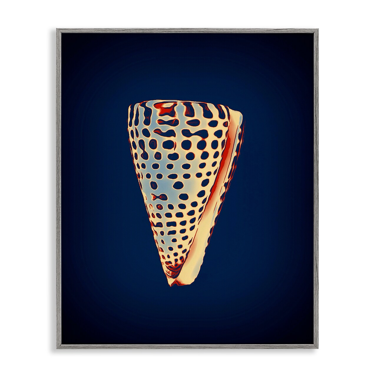 Stupell Industries Cone Shell on Blue Framed Giclee Wall Art Design by Graffi*tee Studios